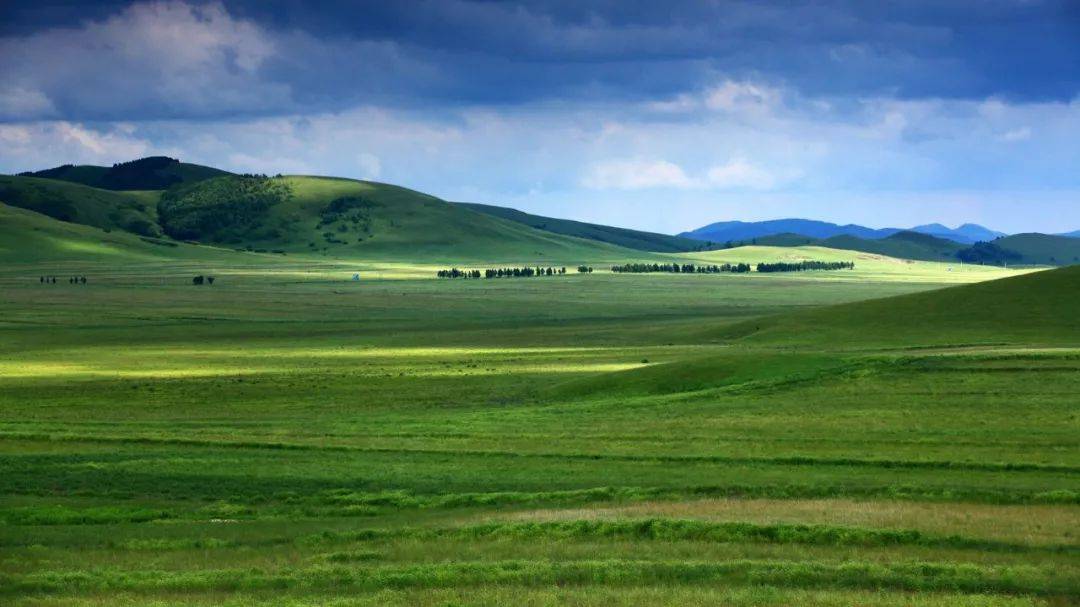 乌兰布统草原,绿意盎然